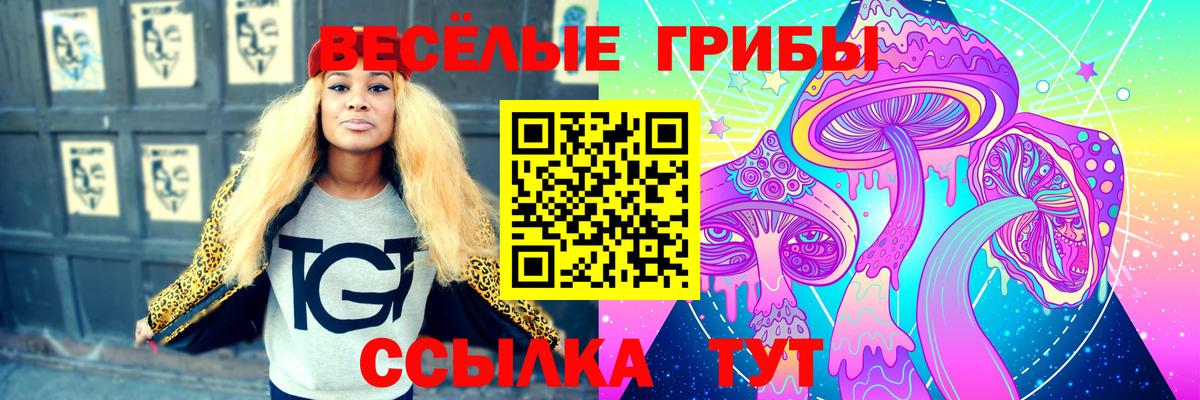 Красноперекопск  Псилоцибиновые грибы GOLDEN TEACHER  Вход с VPN 