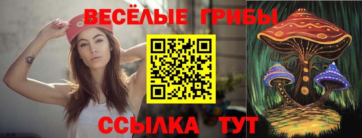 Галлюциногенные грибы Psilocybe Красноперекопск